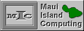 MIC Logo 